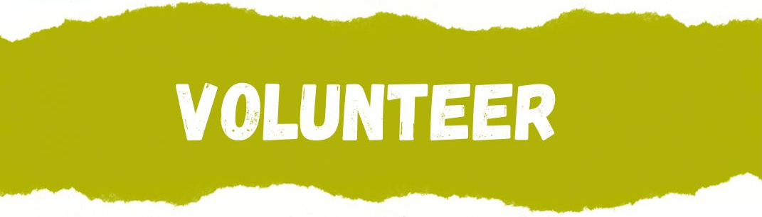 DIYPride-volunteer